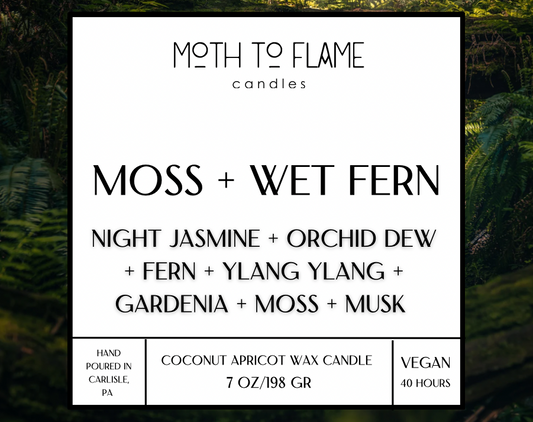 Moss + Wet Fern